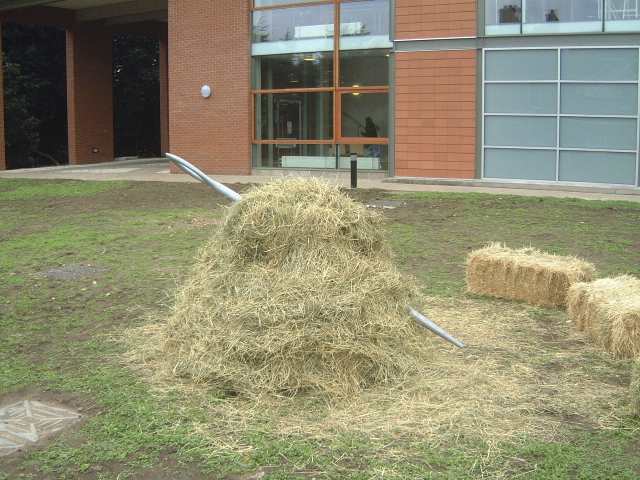needle_in_haystack